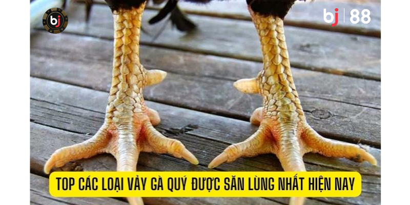 đá ga 