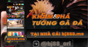 đá gà bj88