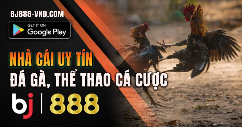 Đăng nhập xem đá gà, các cược thể thao BJ888